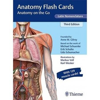 Anatomy Thieme Flash cards
