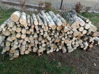 Prodám palivové dřevo břízu