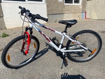 Author A-Matrix vel.24