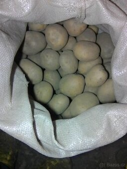 Konzumní brambory