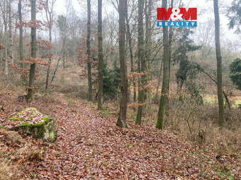 Prodej lesa, 9178 m², Krašlovice