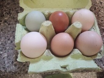 Domácí vajíčka