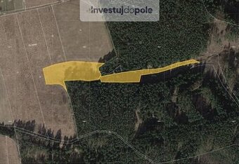 Prodej louky 17 895 m², Planá - Svahy, ev.č. 2025-06-09-65