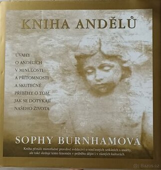 Sophy Burnhamova Kniha andělů