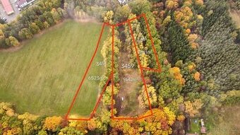 Prodej komerčních pozemků, Veselí nad Lužnicí