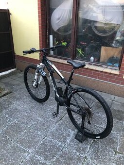 Rock Machine Catherine e60