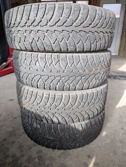Vraník Everest HPL 4 195/65 R15