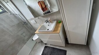 1× Instalatér, 1× Obkladač | Rekonstrukce koupelen v Německu
