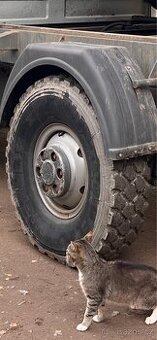 255/100 r16