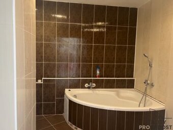 Prodej bytu 2+1/L , 58 m2, byt 2+1 Mojžíř