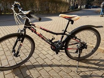 Dětské kolo Superior PAINT 24