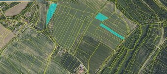 Pole Týniště u Malešova, okr. Kutná Hora