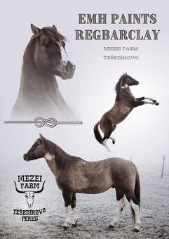 Apha žrebec pripustanie