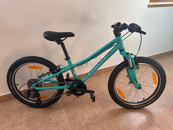 Specialized Hotrock 20 – dětské horské kolo 20"