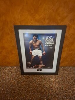 2x obraz Muhammad Alli