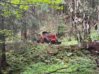 Predam les,50 hektaru (nije Timberjack)