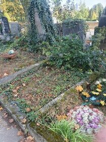Hrob (hrobové místo) s pomníkem - Brno ústřední hřbitov - 1