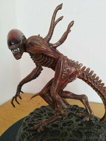 Alien Resurrection Statue 38 cm Sideshow no Hot Toys - 1