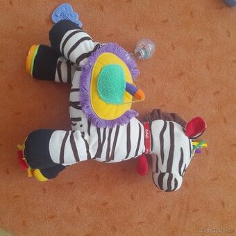 Nová zebra Ryan