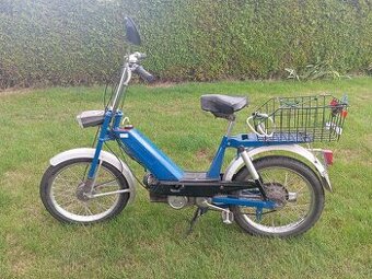 Babeta 207