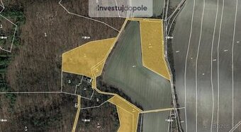 Prodej podílu 1/2 louky 26 114 m², Louny