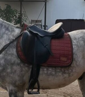 Skokové sedlo MARJOMAN REGENT