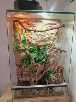 Terárium po chameleonovi