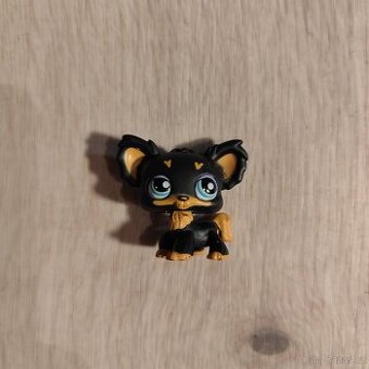 LPS littlest petshop pejsek, čivava