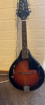 Mandolína Harley Benton
