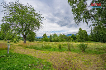 Prodej pozemku k bydlení, 2451 m², Ovesná - Nová Pec