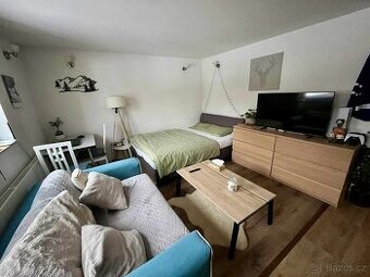 1kk Březí u Říčan