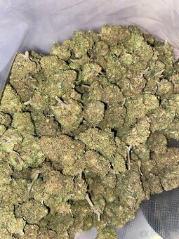 Květy technického konopí