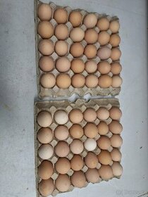 Domácí  vejce