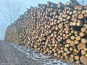 Palivové dřevo listnaté tvrdé 1280,- jehličnaté 780,-