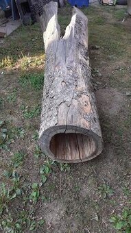 Kmen stromu