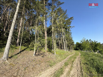 Prodej lesa, 23184 m², Milešov