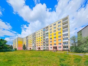 Pronájem bytu, 1+1, DV, 36m