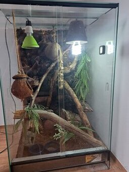 Terarium s pagekony