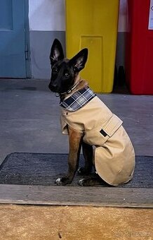 Kabátek pro psy s oddělitelnou podšívkou vel. 55