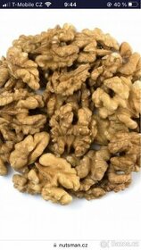 Ořechy loupané nebo ve skořápce sklizeň 2023