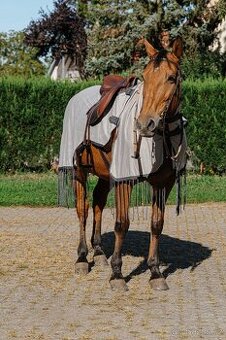 Jezdecká deka Riding World - poštovné ZDARMA