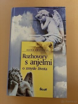 Rozhovoroy s anjelmi o zmysle života. - 1