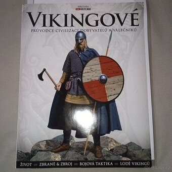Vikingové kniha