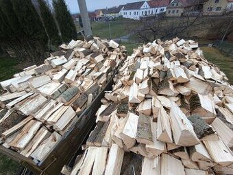 Palivové dřevo