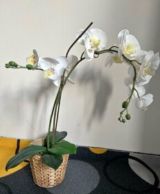 Umělá květina v květ., orchidea bílá, 12 cm
