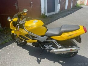 Triumph 955i ,vtr 1000 - 1