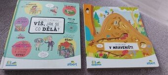 Víš jak se co dělá,  co se děje v mraveništi