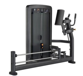 Gluteus Life Fitness Insignia style