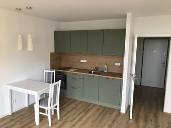 PRONÁJEM BYTU 1+kk Brno-Líšeň, Elplova