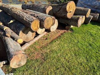 Buk pilařská kulatina - prodej